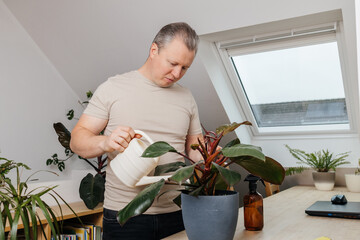 Man watering houseplant caring for indoor plants © Elena Medoks