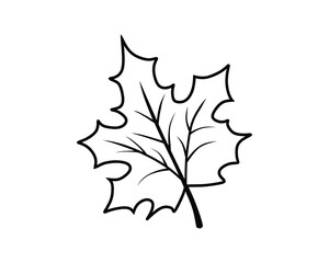 Obraz premium Simple Black Outline Maple Leaf Vector Icon