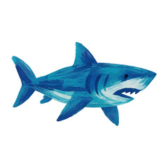 Obraz premium PNG Vibrant artistic shark illustration