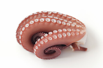 白背景のゆでたこ