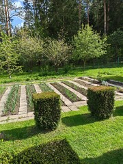 Garden design with beds in the vegetable garden, summer at the dacha.