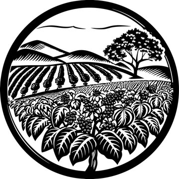 Vibrant Coffee Plantation Landscape