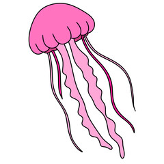 Fototapeta premium Illustration of Jellyfish