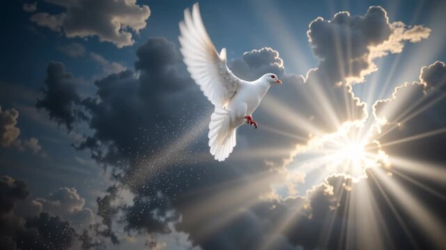 White dove flying against dark storm clouds with bright sun rays. Spiritual symbol of peace and freedom. Holy Spirit concept with divine light