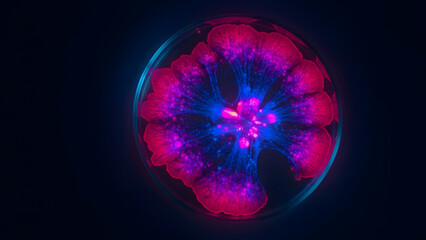 Petri dish bacterium cell culture biology science laboratory microorganism research experiment agar growth pink light bloom nature life study