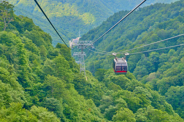 新緑の中を進む谷川岳のロープウェイ