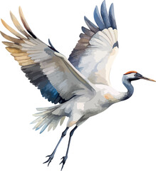 Fototapeta premium Flying Crane Water Bird – Classic Watercolor Vector Illustration