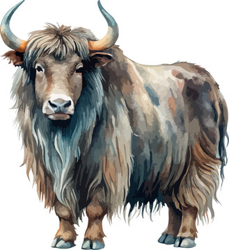 Himalayan Yak Animal Watercolor Vector Illustration