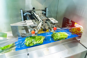 Food package wrapping machinery. Vegetable and fruit on flow packing machine. Food industry