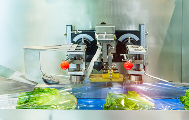 Food package wrapping machinery. Vegetable and fruit on flow packing machine. Food industry