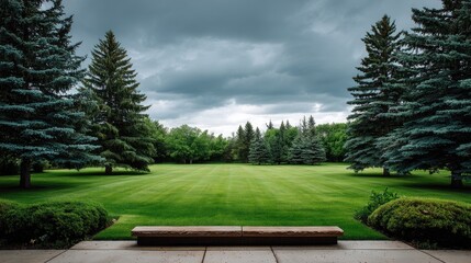 Serene Landscape with Lush Green Grass and Towering Evergreen Trees Under Dramatic Cloudy Sky in Tranquil Outdoor Setting