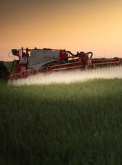 Naklejka premium Tractor spraying vegetables in a lush green field at sunset.