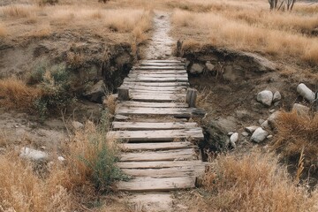 Rustic wooden bridge over dry creek bed in a natural landscape