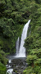 Obraz premium waterfall in the woods