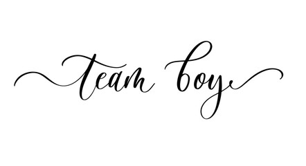Handwritten Calligraphy Team Boy Gender Reveal Vector Design.