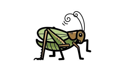 Illustration of a green grasshopper insect.