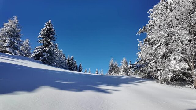 Amazing Winter landscape of Vitosha Mountain, Sofia City Region, Bulgaria