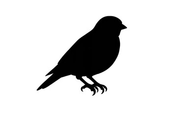 Obraz premium Solid black with transparent background image for easy compositing needs