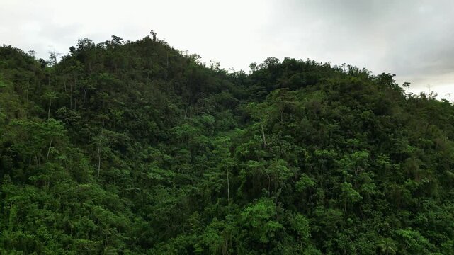 Dramatic rising aerial drone shot revealing dense forested tropical hills beneath a moody, cloud-filled sky - Catanduanes, Philippines