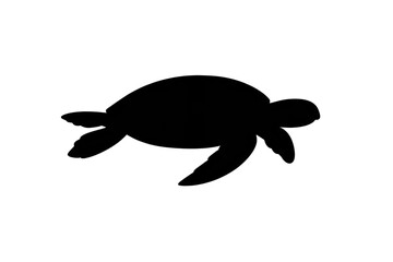 Obraz premium Pure Black Image: Demonstrating a transparent background with nothing.