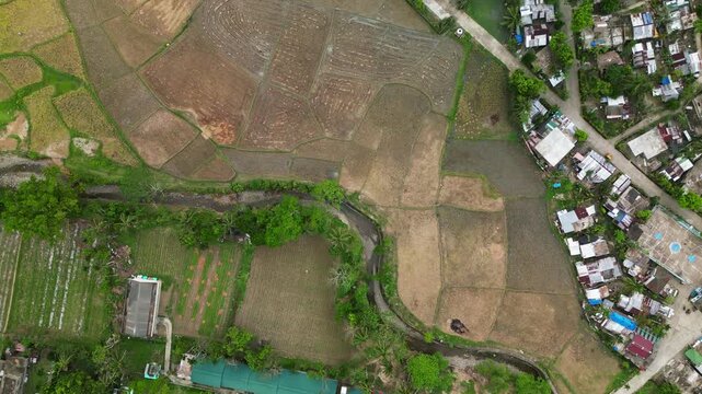Aerial bird&rsquo;s eye view of patterned agricultural fields and rice paddies by barangay village settlement in Catanduanes, Philippines