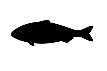 Blackness as perfect absence on transparent background image test.