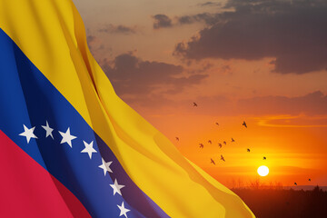 Fototapeta premium Venezuela flag on background of sunset sky with flying birds. Patriotic concept. Banner with place for text.