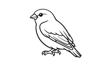 Obraz premium Sparrow vector illustration with transparent background outline drawing