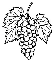 Obraz premium Hand drawn illustration of a grape cluster depicting fresh fruit for food and beverage design