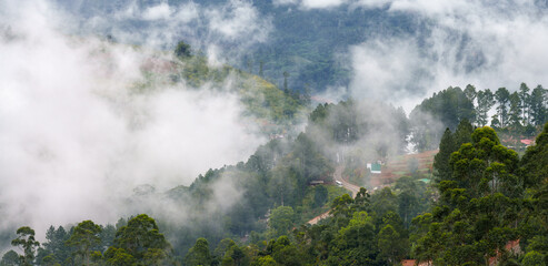 Atmospheric panoramic view on road to Nuwara Eliya mountain resort, Sri Lanka. Pine-covered hills in clouds and mist