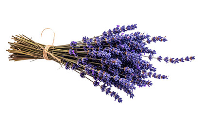 Aromatic Lavender Bunch Tied With Twine Isolated On Transparent Background For Aromatherapy And Floral Design Projects