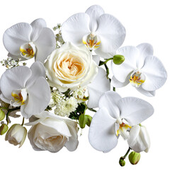 Fototapeta premium A set of flowers on a white background. 