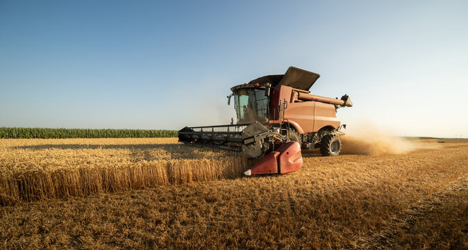 Combine harvester in field wheat