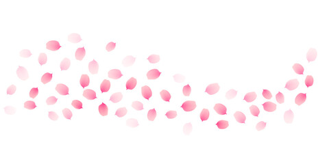 Sakura cherry petals, pink apricot flowers falling swirl. Vector background