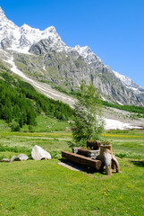 Alpine meadow with wooden bench, green trees and wildflowers beneath rugged snow-capped mountains and a clear blue sky on a sunny summer day.