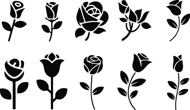 Minimal rose stem with single leaf silhouette collection