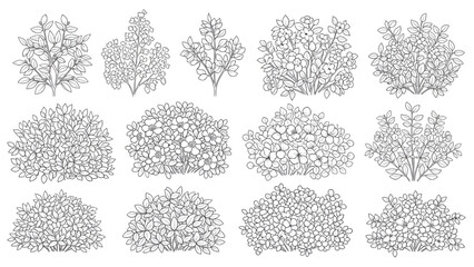 Bush Outline Vector Set &ndash; Small and Large Floral Illustrations