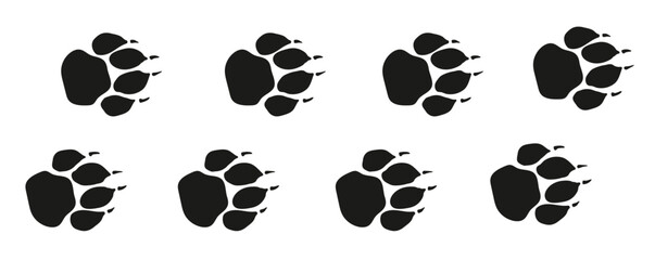  tiger or lion paw footprint way lion paws walking randomly © Engier