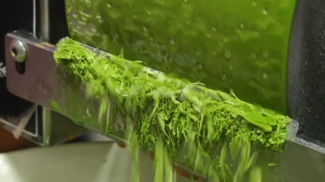 Green Tea Binsu. Korean Dessert.