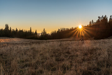 Sunset on meadow with trees on Stredna polana bellow Velky Choc hill in Chocske vrchy mountains in Slovakia