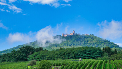 Blick zur Haut-Koenigsbourg im Elsass