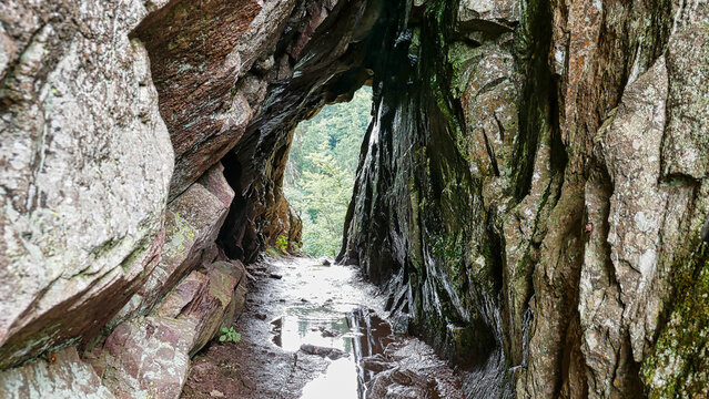 Wanderweg Sentier des Roches (Felsenpfad) am Col de la Schlucht im Elsass durch einen Felsen f&uuml;hrend