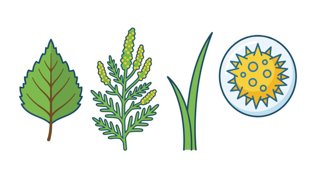 Illustrations of common allergy triggers: birch leaf, ragweed, grass, and microscopic pollen grains.