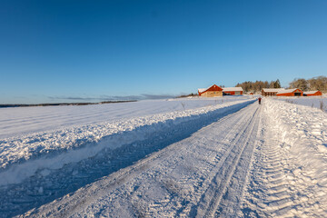 Cold winter landscape with snow and frost