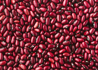 Top view of red kidney beans (Phaseolus vulgaris) with smooth skin and subtle highlights. Natural...