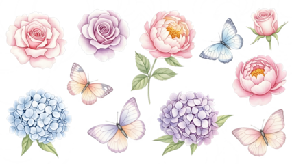 A beautiful collection of watercolor flowers and delicate butterflies for elegant designs isolated on transparent background