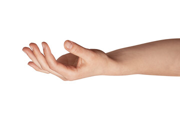 Human hand extending with open palm and forearm isolated against a solid light background, conveying concepts of offering, receiving, or holding up an object