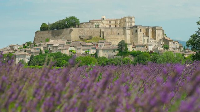 Grignan, Dr&ocirc;me, Auvergne-Rh&ocirc;ne-Alpes, France across the lavender fields