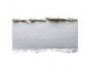 Torn paper edge isolated on transparent background rough texture white color realistic ripped effect blank space creative design element horizontal orientation