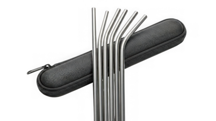 Set of reusable metal straws with protective case